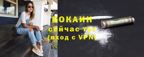 молекула духа Покровск