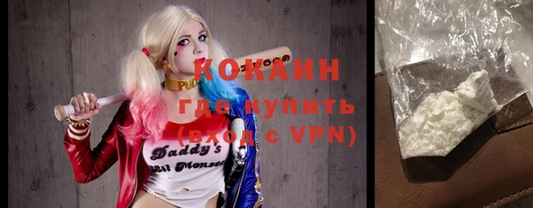 молекула духа Покровск