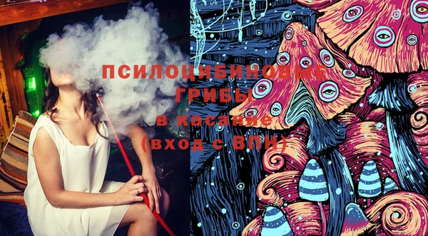молекула духа Покровск