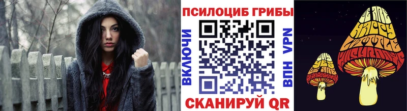 Галлюциногенные грибы GOLDEN TEACHER  Купить  Суджа 